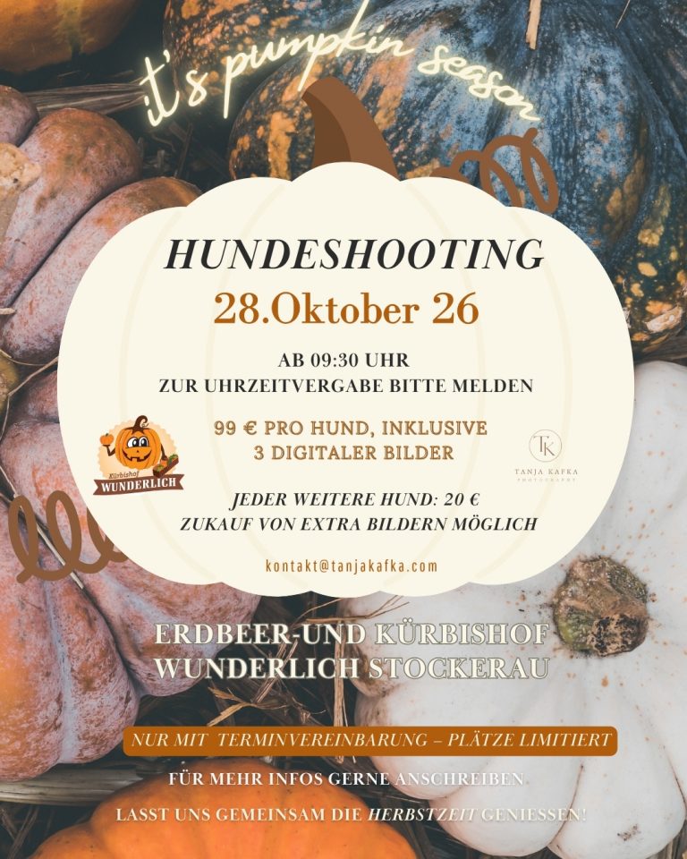 Hundeshooting am Kürbishof Wunderlich – Herbst Fotoshooting für Hunde in Niederösterreich